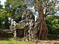 Zdjęcia - Ta Prohm. W odróżnieniu od większości kamiennych budowli kompleksu Angkor, Ta Prohm zachowała się w stanie zbliżonym do tego, w jakim została odnaleziona. Malownicze połączenie korzeni drzew porastających ruiny świątynne w środku dżungli powoduje, że Ta Prohm jest jedną z najczęściej odwiedzanych atrakcji całego kompleksu Angkor.