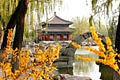Imperial Garden - Summer Palace in Beijing - Yiheyuan