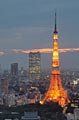 Wieża Tokijska - fotografie