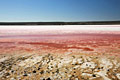 Foto's - Australië - landschappen - Pink Lake