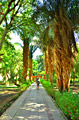 Aswan Botanical Garden - pictures - Kitchener's Island