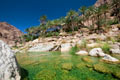 Oman - landschappen - foto's - oase