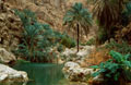 Oman - landskap - foton - Wadi Shab