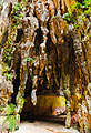 Batu Caves - photography