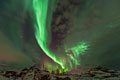 Aurora polaris - Norge - landskap - fotografi