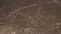 Rysunki z Nazca foto galeria
