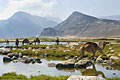 Foto - Oman - landskaber