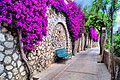 Foto - Isola di Capri - Italia