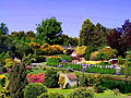 Fotografi - Trädgården av Canberra