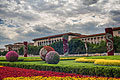Fotos - Plaza de Tian'anmen