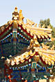 Photo travels  - Forbidden City