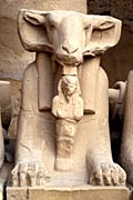 Ram-headed sphinx - Karnak
