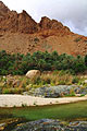 Wadi Tiwi - foto's van - Oman - landschappen