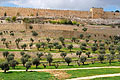 Tarasy w Dolinie Cedronu i ściany Starego Miasta w Jerozolimie