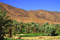 Oasis en valle de Wadi Draa - paisajes de Marruecos- viajes 