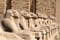 Ram-Sphinxes at Karnak Temple 