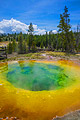 Parco nazionale di Yellowstone - immagini