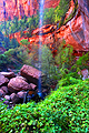 Waterfall  and the Lower Emerald Pools of Zion National Park - travels