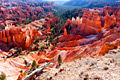 Bryce Canyon National Park - photography