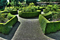 Botanisk have i København - fotoreiser