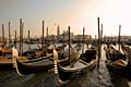 Photos - Venice