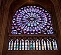 Rosevindue - Kirken Notre Dame - Paris