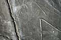 Pająk - Rysunki z Nazca