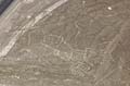 foto podróże Rysunki z Nazca