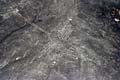 Rysunki z Nazca - koliber