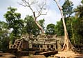 Angkor Thom - Ta-Prohm